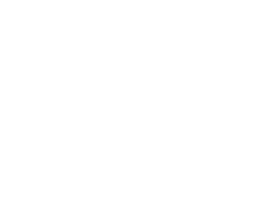 icoon code 95
