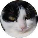 Pol Cool profielfoto