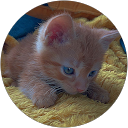 Jill Stoop profielfoto